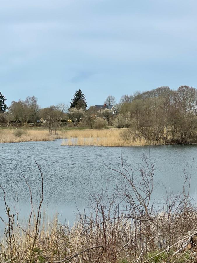 Feriehus I Skon Natur Stenstrup Экстерьер фото